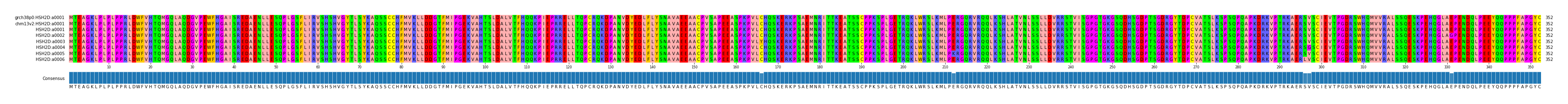 Multiple Alignments (by translate haplotype frequency)