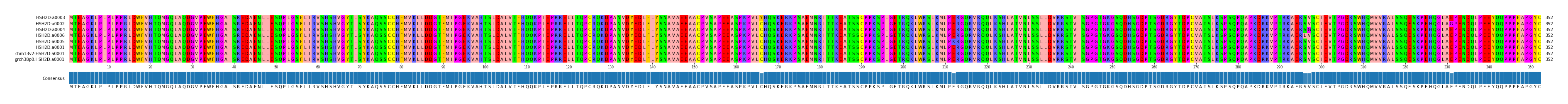 Multiple Alignments (by translate haplotype similarity)