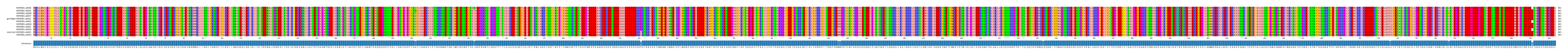 Multiple Alignments (by translate haplotype similarity)