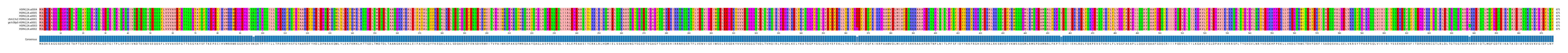 Multiple Alignments (by translate haplotype similarity)