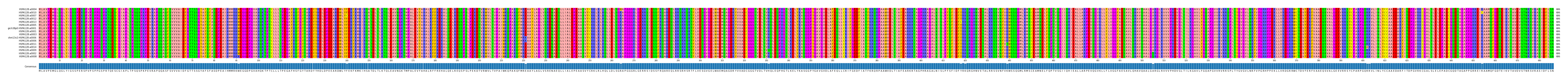 Multiple Alignments (by translate haplotype similarity)