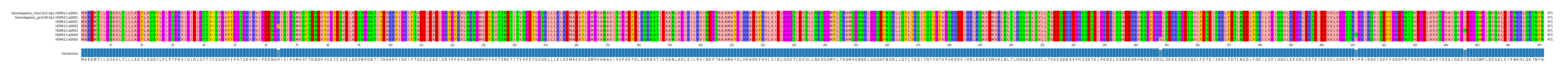 Multiple Alignments (by translate haplotype frequency)