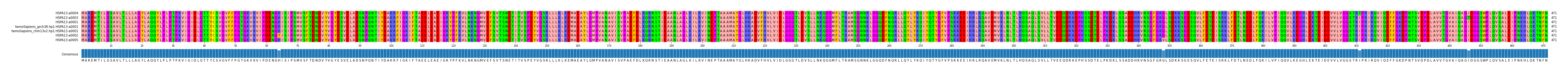 Multiple Alignments (by translate haplotype similarity)