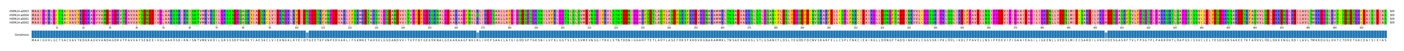 Multiple Alignments (by translate haplotype similarity)
