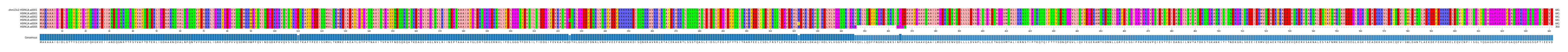 Multiple Alignments (by translate haplotype frequency)