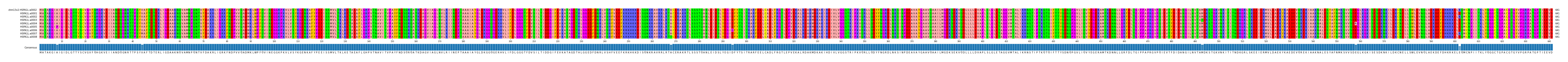 Multiple Alignments (by translate haplotype frequency)