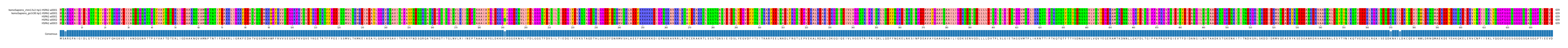 Multiple Alignments (by translate haplotype frequency)