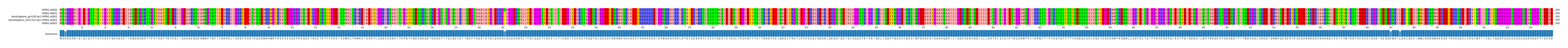 Multiple Alignments (by translate haplotype similarity)