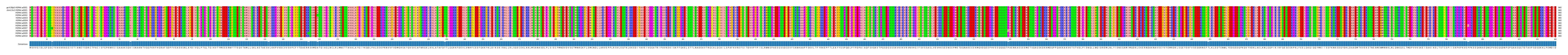 Multiple Alignments (by translate haplotype frequency)