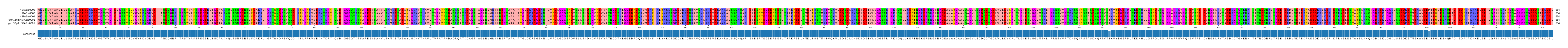Multiple Alignments (by translate haplotype similarity)