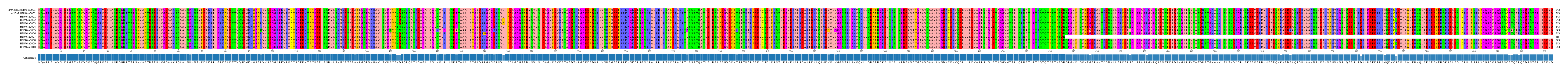 Multiple Alignments (by translate haplotype frequency)