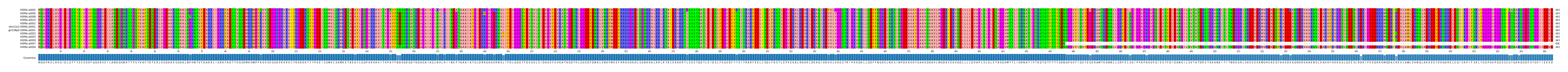 Multiple Alignments (by translate haplotype similarity)