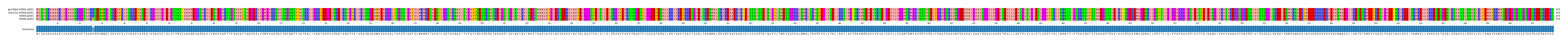 Multiple Alignments (by translate haplotype similarity)