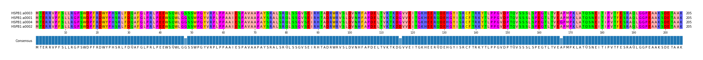 Multiple Alignments (by translate haplotype similarity)