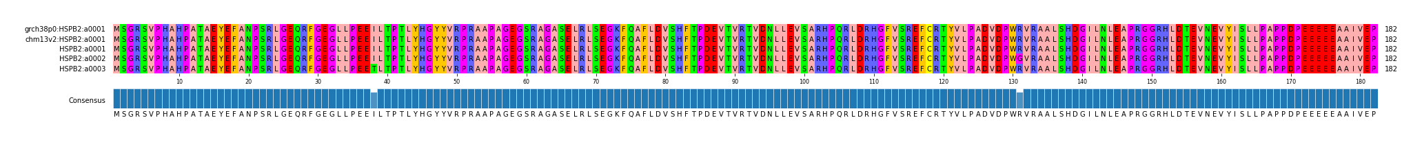 Multiple Alignments (by translate haplotype frequency)