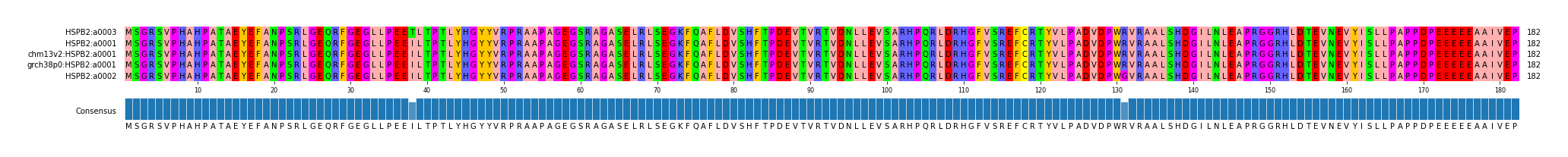 Multiple Alignments (by translate haplotype similarity)