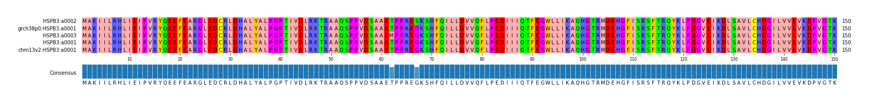 Multiple Alignments (by translate haplotype similarity)