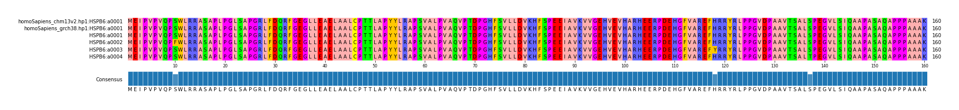 Multiple Alignments (by translate haplotype frequency)