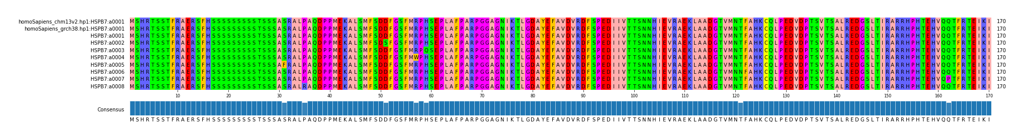 Multiple Alignments (by translate haplotype frequency)