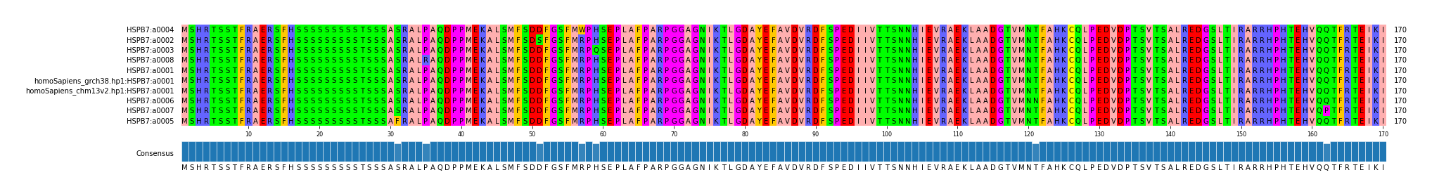 Multiple Alignments (by translate haplotype similarity)