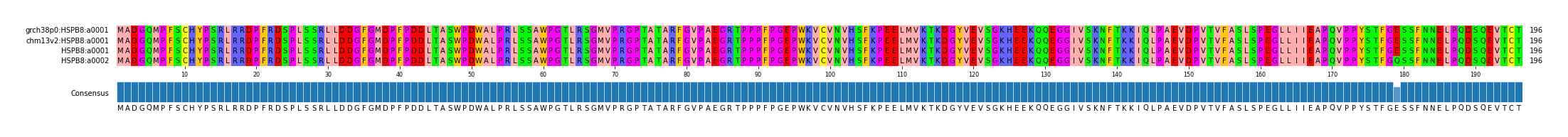 Multiple Alignments (by translate haplotype similarity)