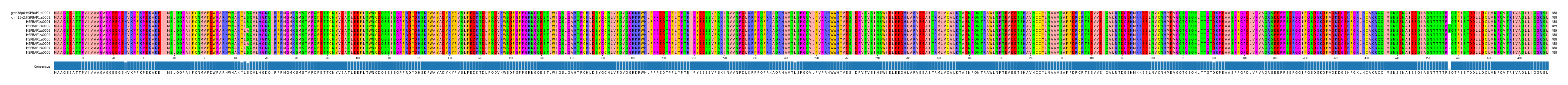 Multiple Alignments (by translate haplotype frequency)