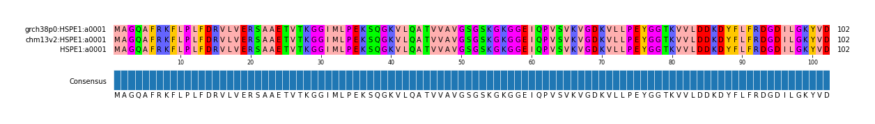 Multiple Alignments (by translate haplotype similarity)