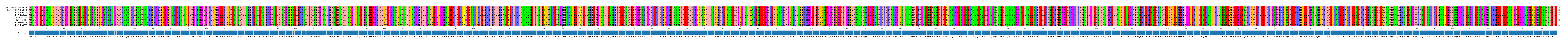 Multiple Alignments (by translate haplotype frequency)