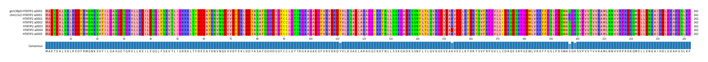Multiple Alignments (by translate haplotype frequency)