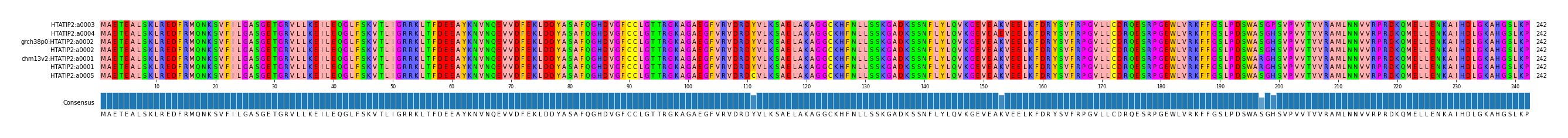 Multiple Alignments (by translate haplotype similarity)