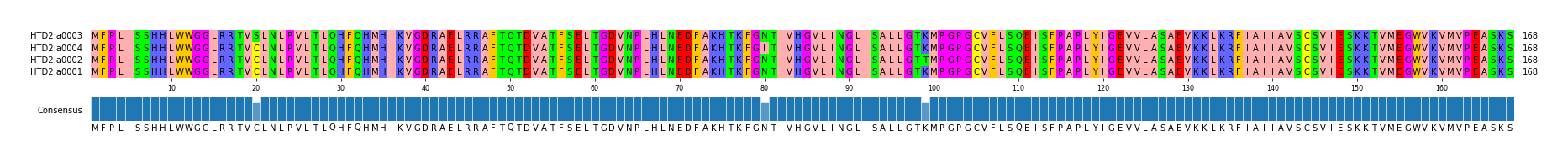 Multiple Alignments (by translate haplotype similarity)