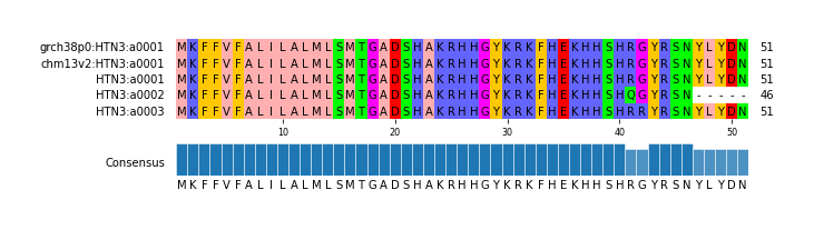 Multiple Alignments (by translate haplotype frequency)