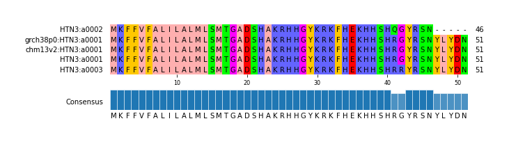 Multiple Alignments (by translate haplotype similarity)