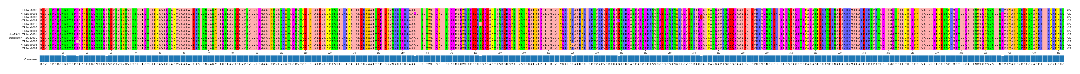 Multiple Alignments (by translate haplotype similarity)