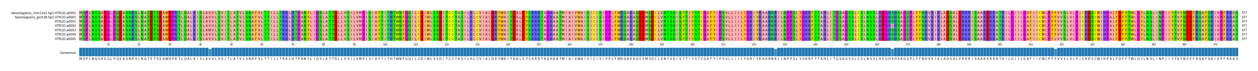 Multiple Alignments (by translate haplotype frequency)