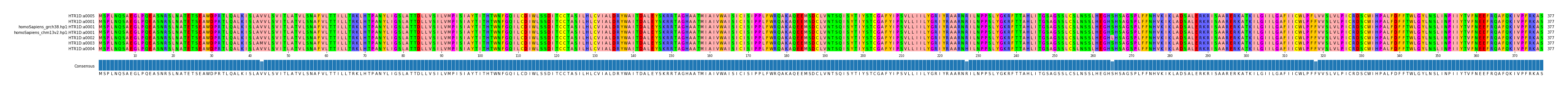 Multiple Alignments (by translate haplotype similarity)
