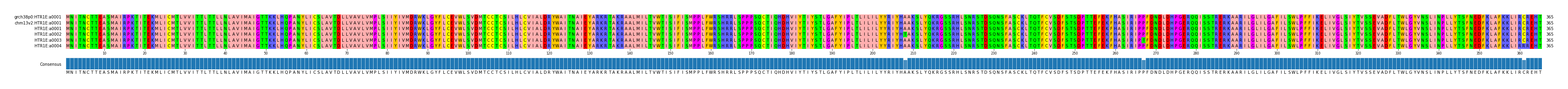 Multiple Alignments (by translate haplotype frequency)