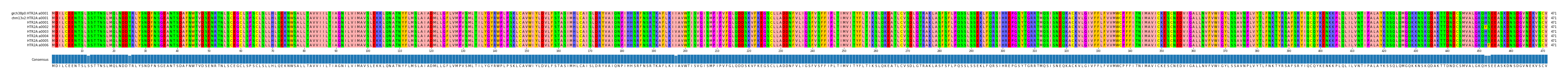Multiple Alignments (by translate haplotype frequency)