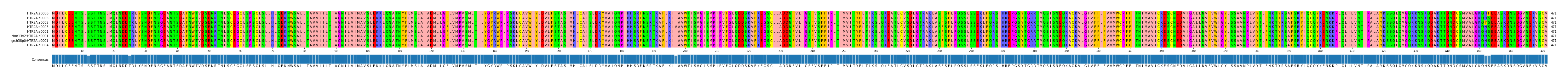 Multiple Alignments (by translate haplotype similarity)