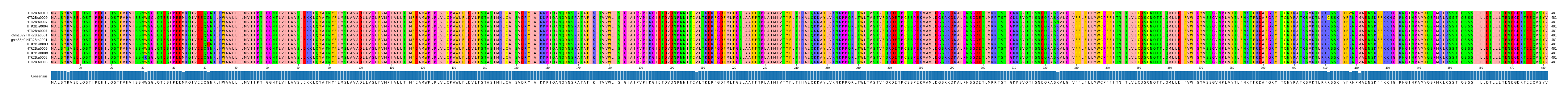 Multiple Alignments (by translate haplotype similarity)