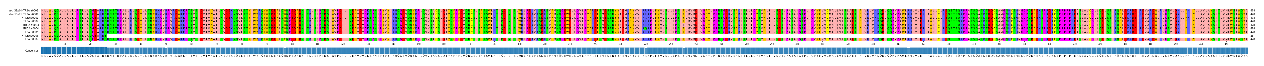 Multiple Alignments (by translate haplotype frequency)