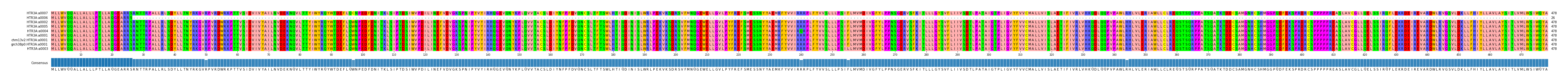 Multiple Alignments (by translate haplotype similarity)