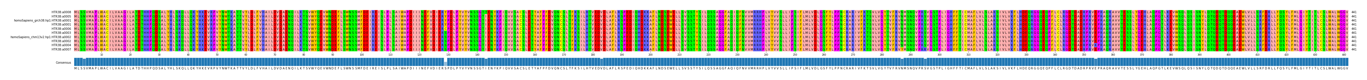 Multiple Alignments (by translate haplotype similarity)