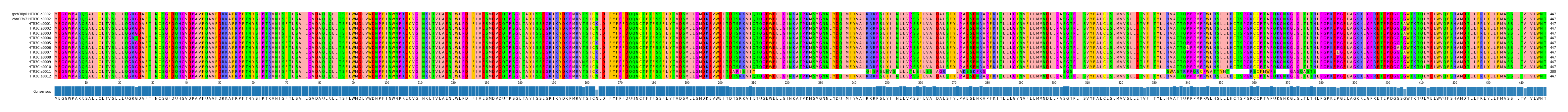 Multiple Alignments (by translate haplotype frequency)