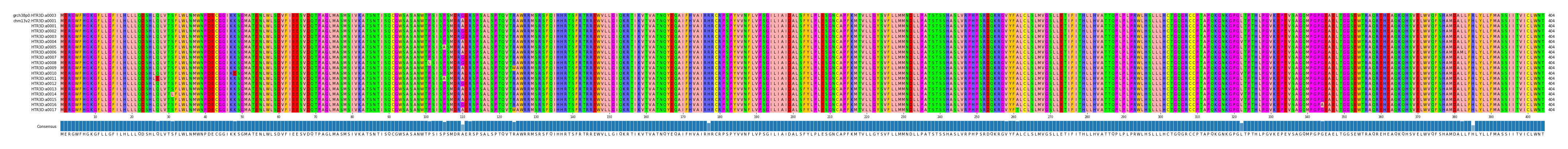 Multiple Alignments (by translate haplotype frequency)