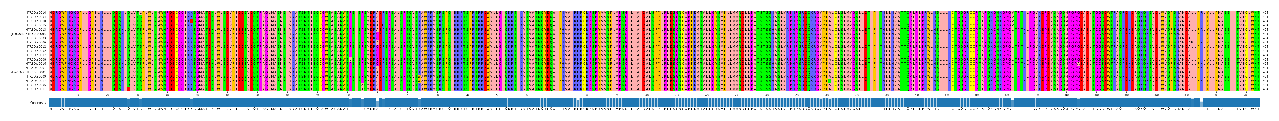 Multiple Alignments (by translate haplotype similarity)
