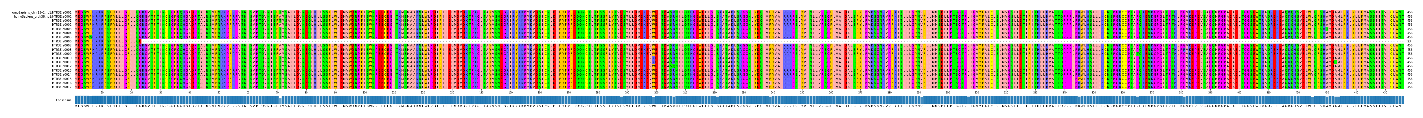 Multiple Alignments (by translate haplotype frequency)