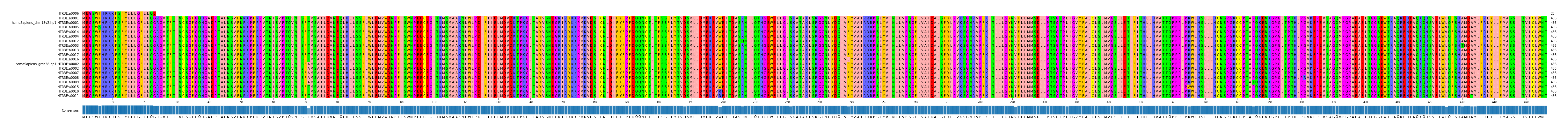 Multiple Alignments (by translate haplotype similarity)