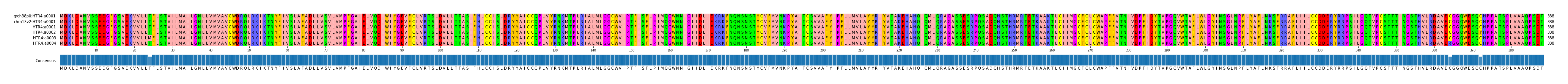Multiple Alignments (by translate haplotype frequency)