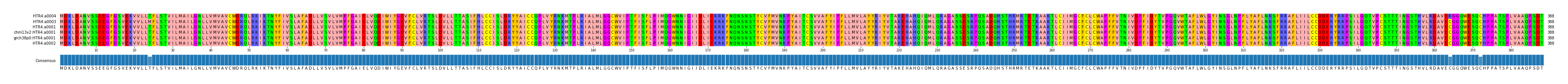 Multiple Alignments (by translate haplotype similarity)